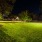 Well Lit Dog Park